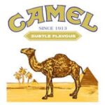 camel-logo